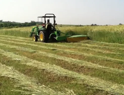 Preparing for a Successful Hay Season